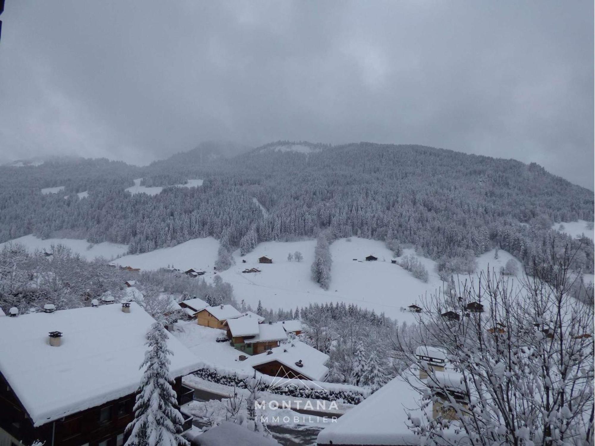 Studio Renove Avec Cabine - 26M² - 5 Pers - Balcon Expose Sud - Pres Skibus Et Remontees Mecaniques - Fr-1-458-125 Le Grand-Bornand Kültér fotó